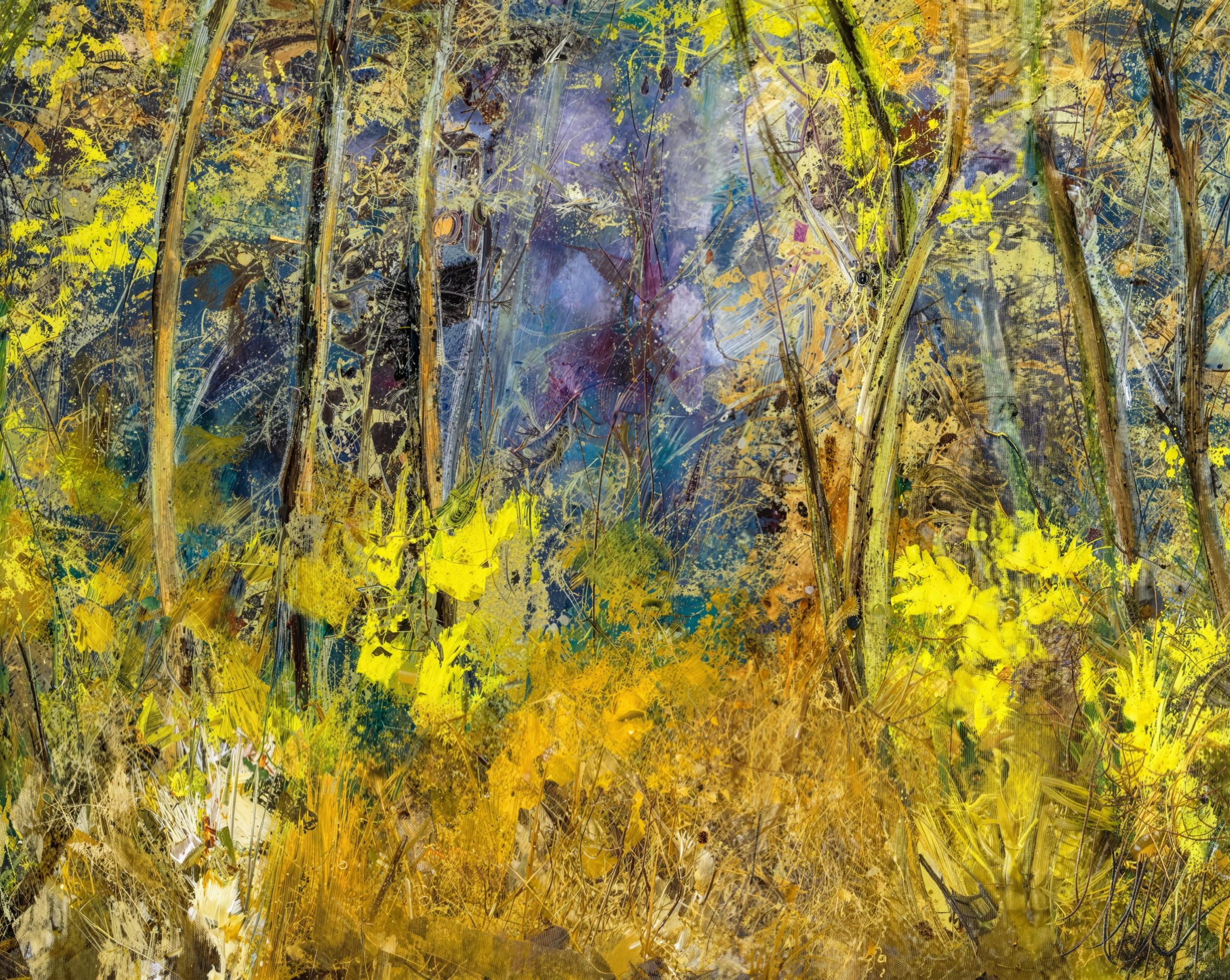 The Gilded Wilderness Series 1