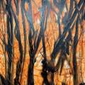 Title: Beyond the Brushstrokes: Sharing the Tales Behind My Canvas at “Chitra-Katha”